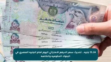 13.24 جنيه.. تحديث سعر الدرهم الإماراتي اليوم أمام الجنيه المصري في البنوك الحكومية والخاصة